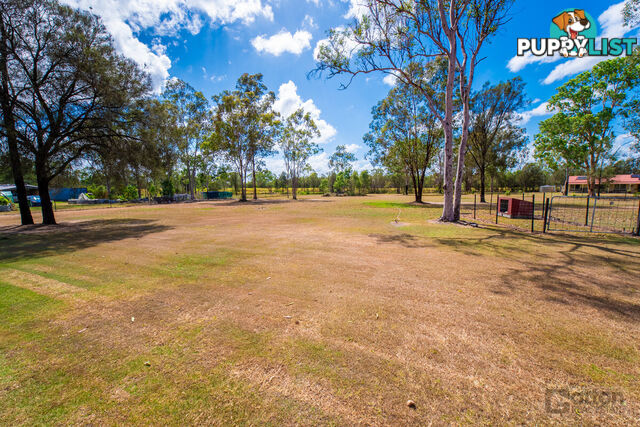 16 Cockatoo Drive Adare QLD 4343