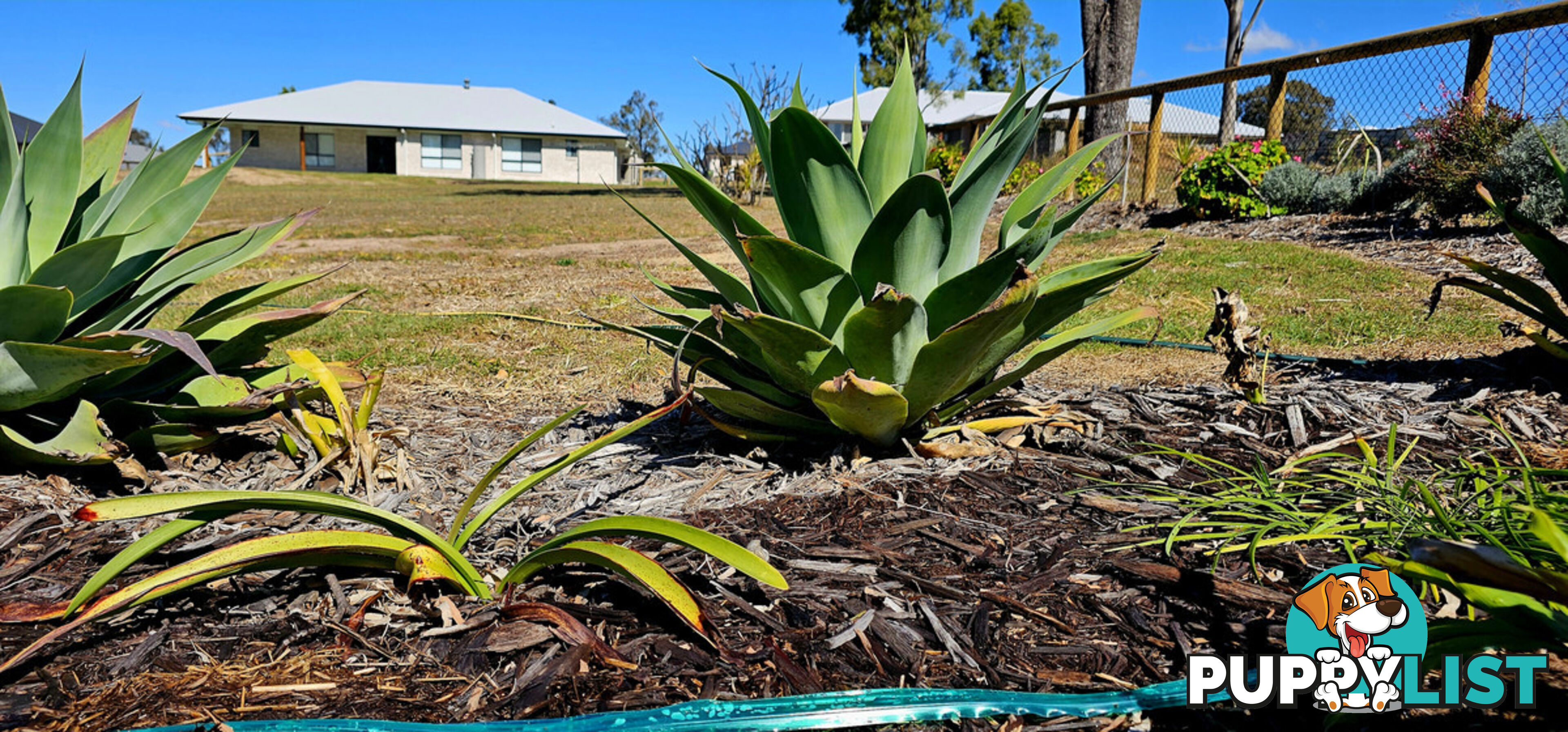 23 Elanora Crescent Kensington Grove QLD 4341