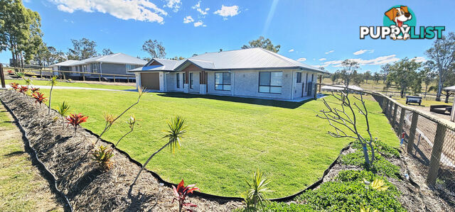 23 Elanora Crescent Kensington Grove QLD 4341