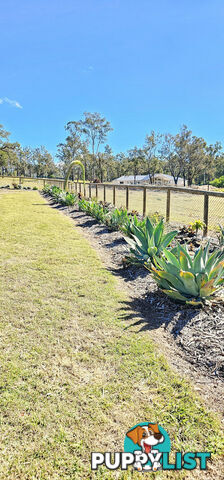 23 Elanora Crescent Kensington Grove QLD 4341