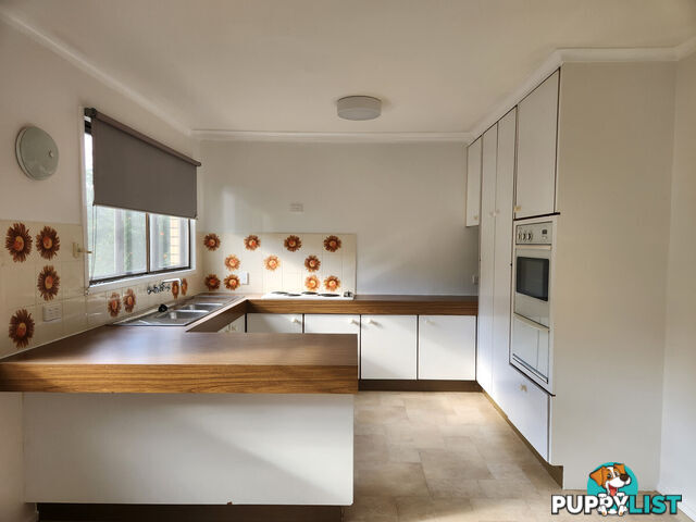 42 Hennessy Street Gatton QLD 4343
