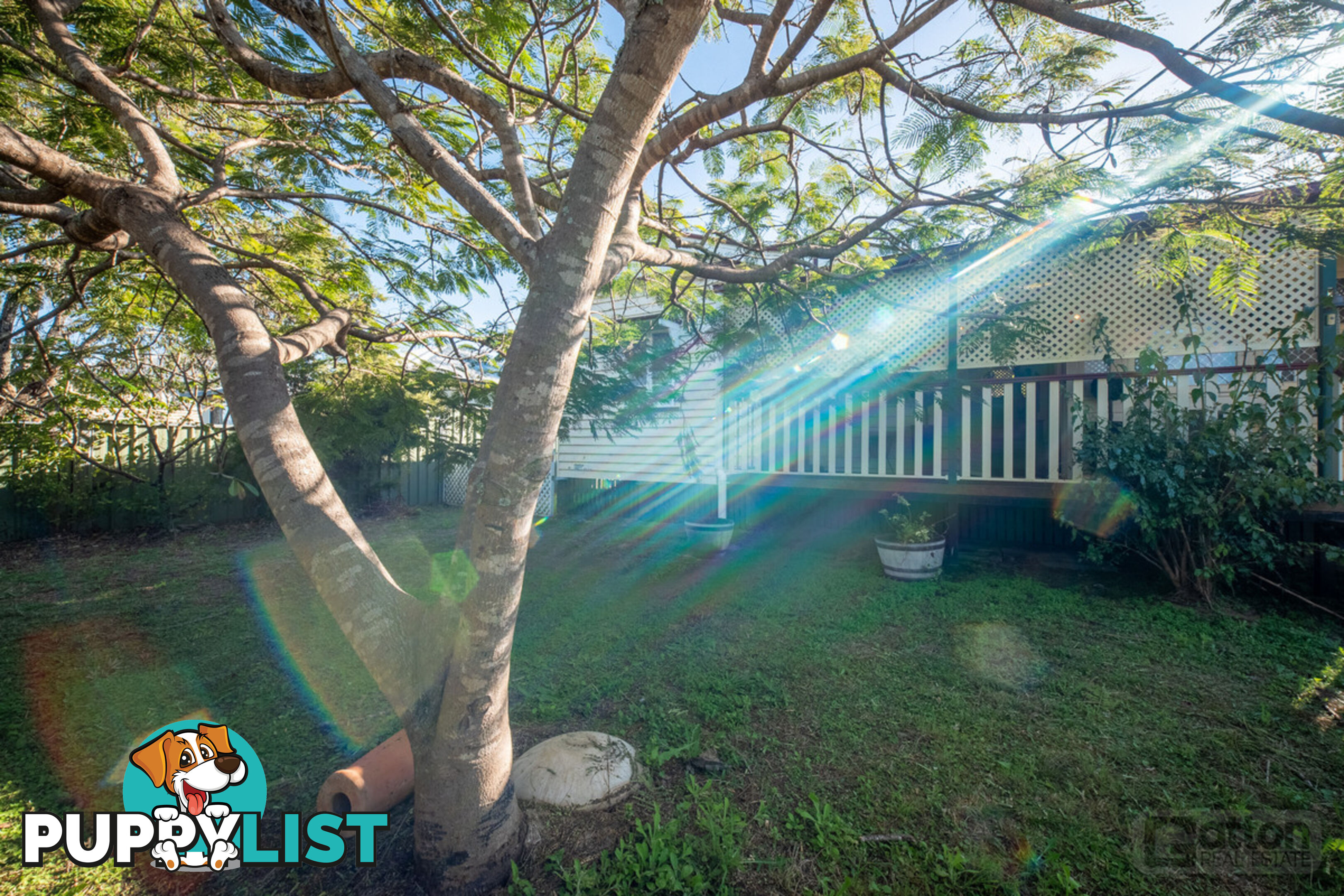 37 Maitland Street Gatton QLD 4343