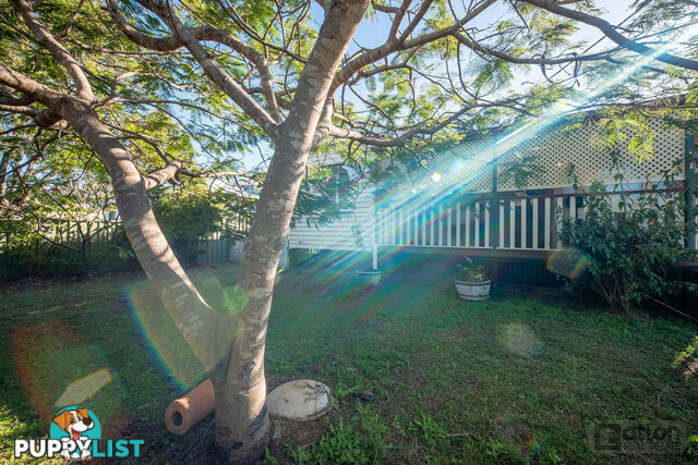 37 Maitland Street Gatton QLD 4343