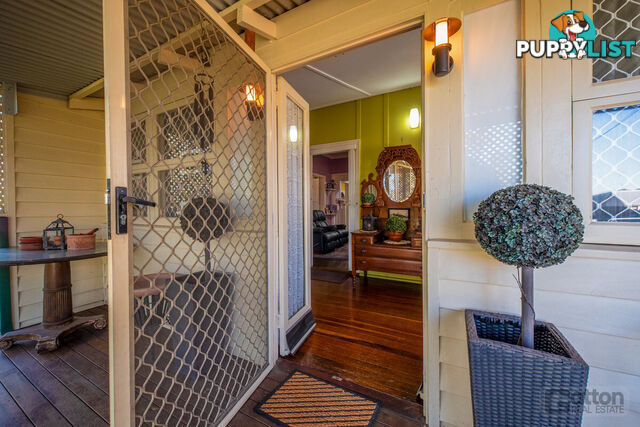 37 Maitland Street Gatton QLD 4343