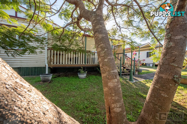 37 Maitland Street Gatton QLD 4343
