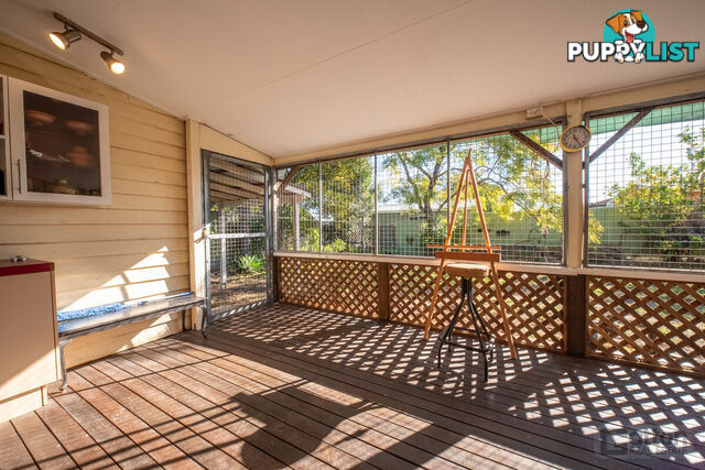 37 Maitland Street Gatton QLD 4343