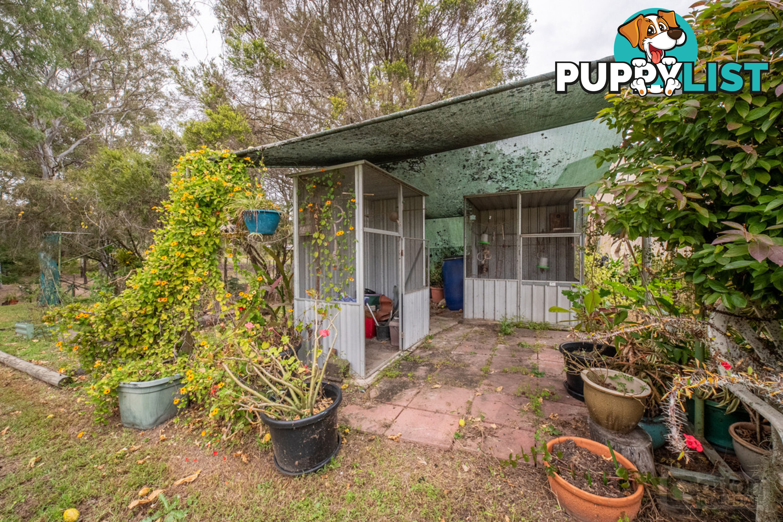 2 Eileen Court Kensington Grove QLD 4341