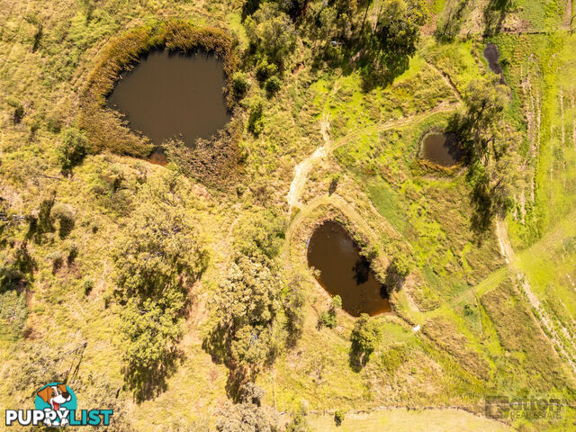 366 Ropeley Rockside Road Ropeley QLD 4343