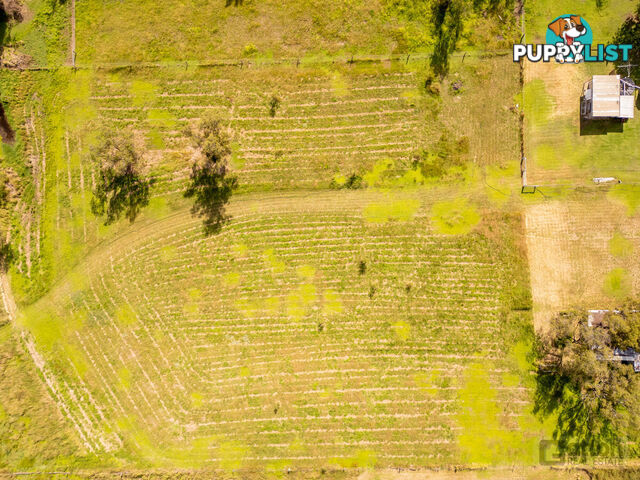 366 Ropeley Rockside Road Ropeley QLD 4343