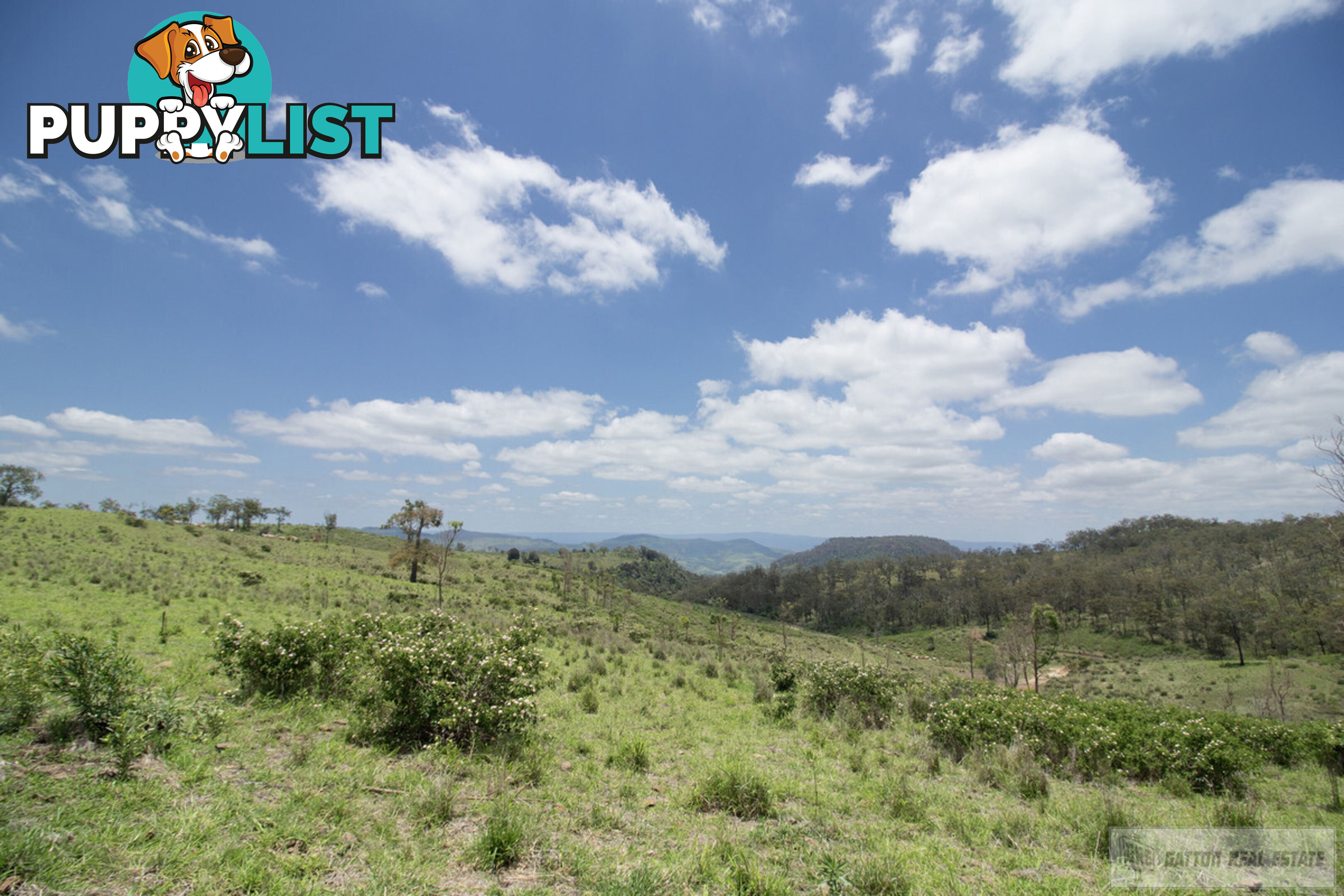 "Paradise" Gatton Clifton Road Mount Whitestone QLD 4347