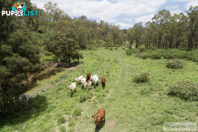 "Paradise" Gatton Clifton Road Mount Whitestone QLD 4347