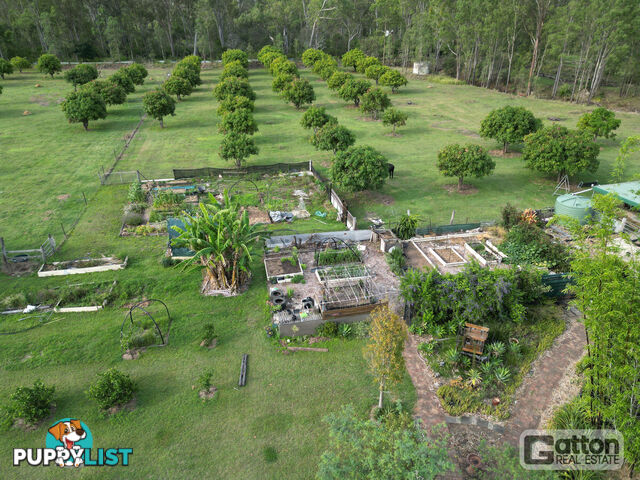 53 Main Green Swamp Road Spring Creek QLD 4343