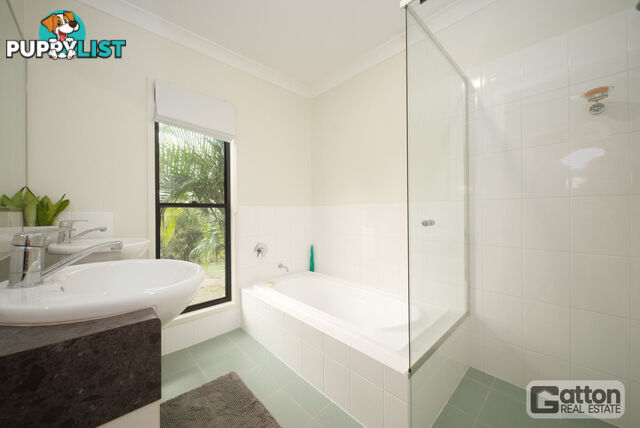 53 Main Green Swamp Road Spring Creek QLD 4343
