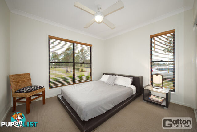 53 Main Green Swamp Road Spring Creek QLD 4343