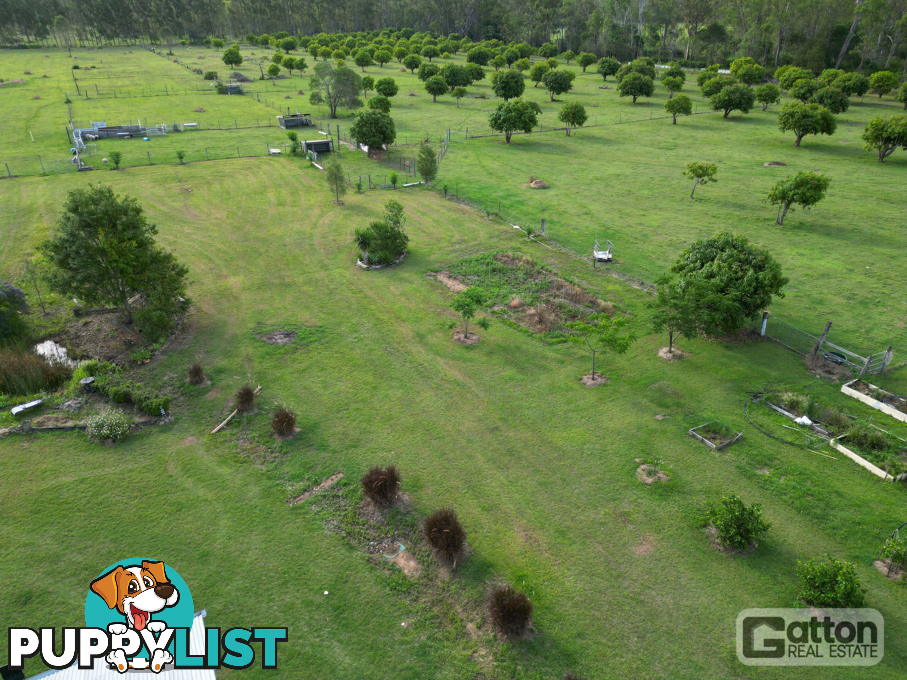 53 Main Green Swamp Road Spring Creek QLD 4343
