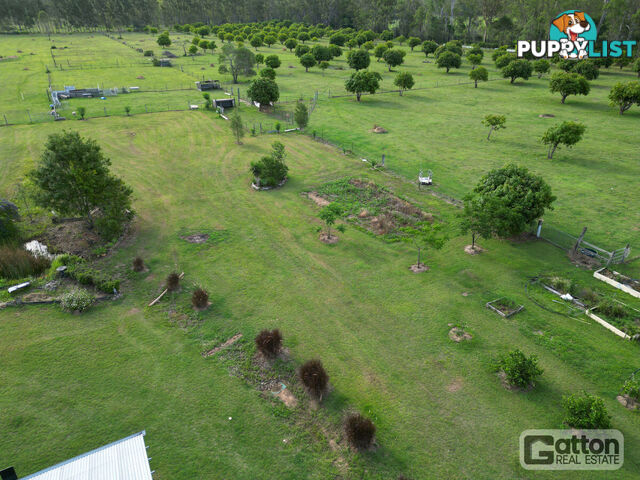 53 Main Green Swamp Road Spring Creek QLD 4343