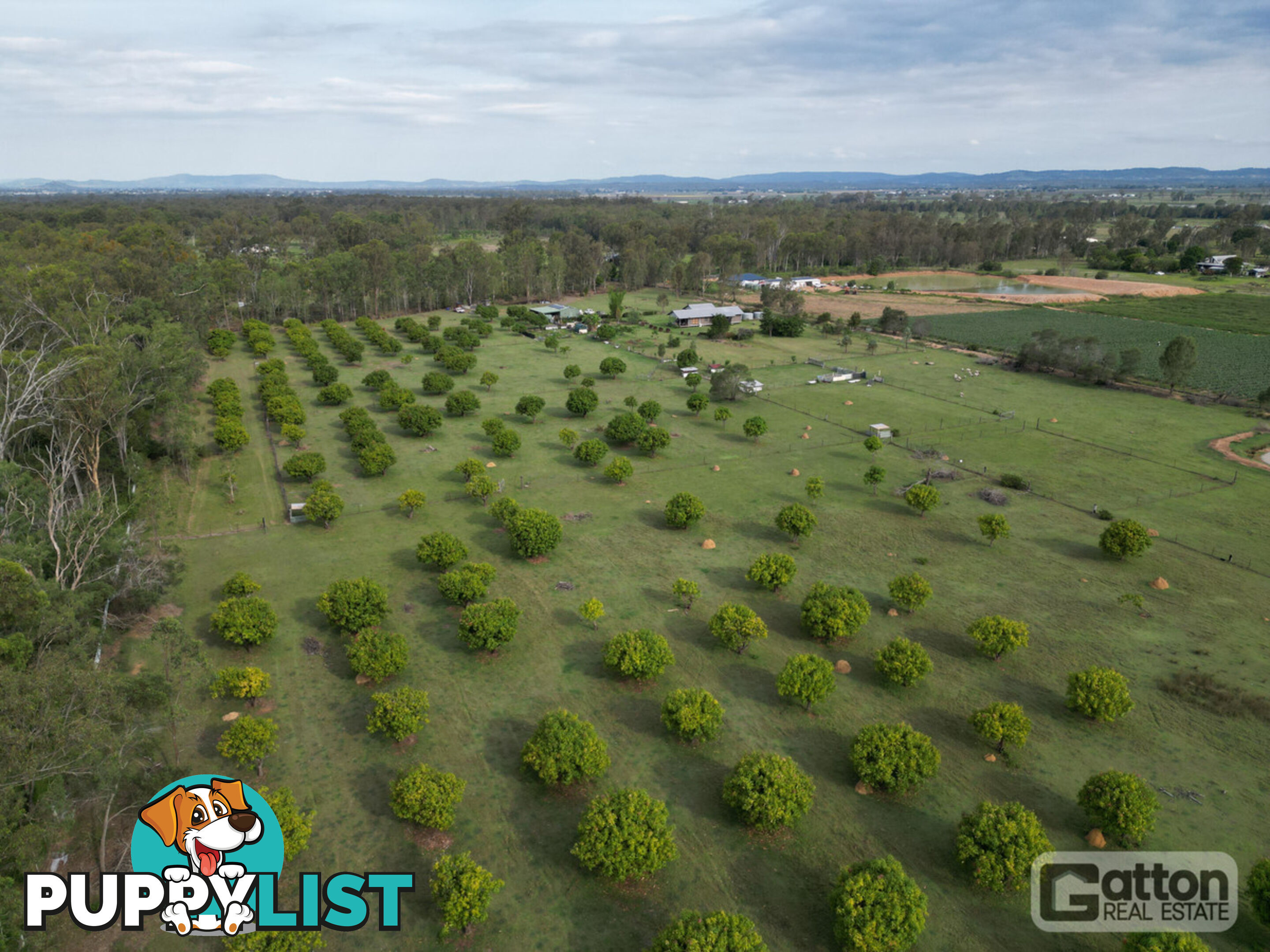 53 Main Green Swamp Road Spring Creek QLD 4343