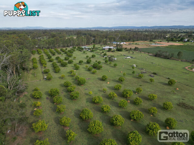 53 Main Green Swamp Road Spring Creek QLD 4343