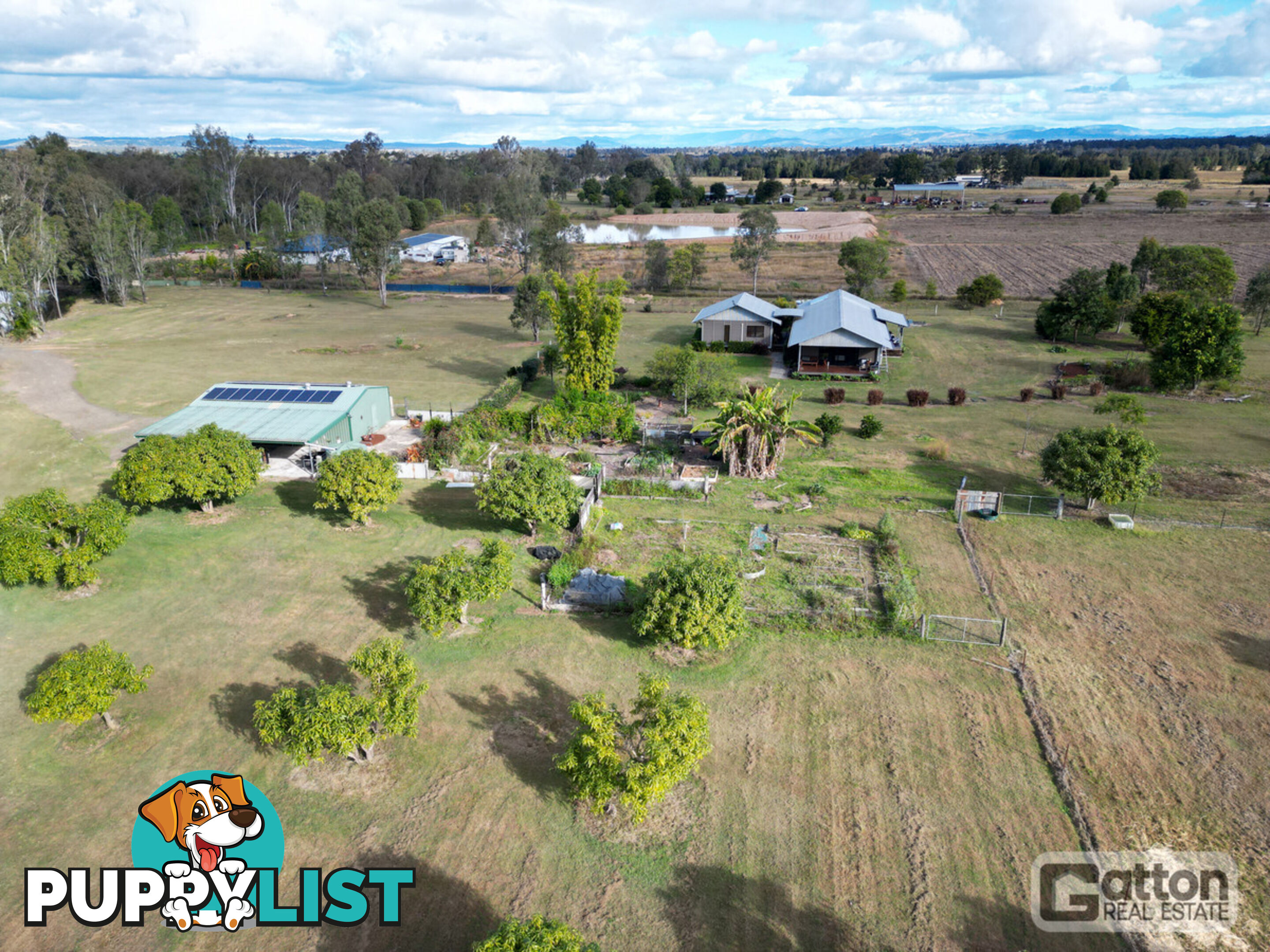53 Main Green Swamp Road Spring Creek QLD 4343