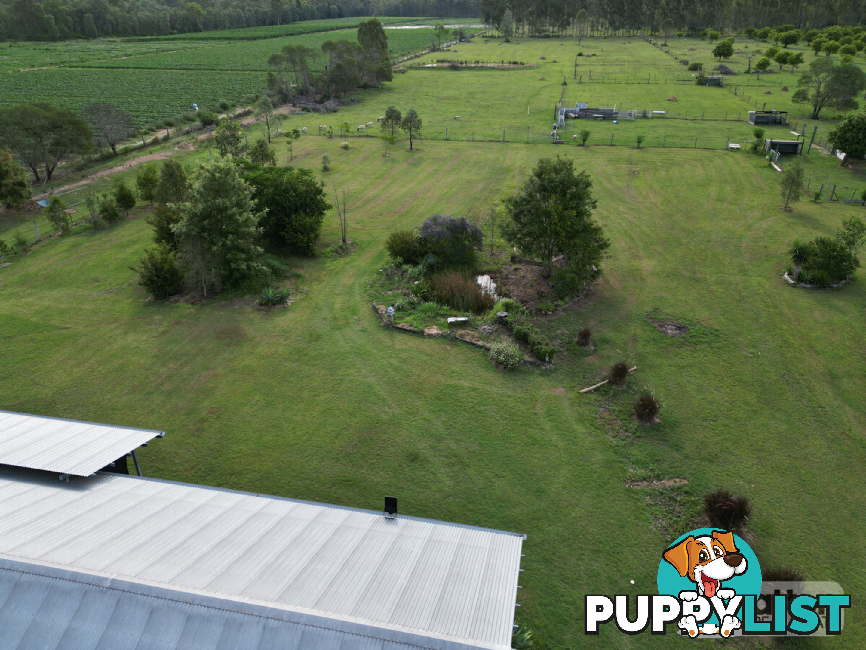 53 Main Green Swamp Road Spring Creek QLD 4343