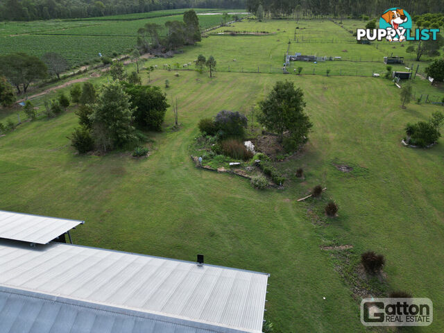 53 Main Green Swamp Road Spring Creek QLD 4343