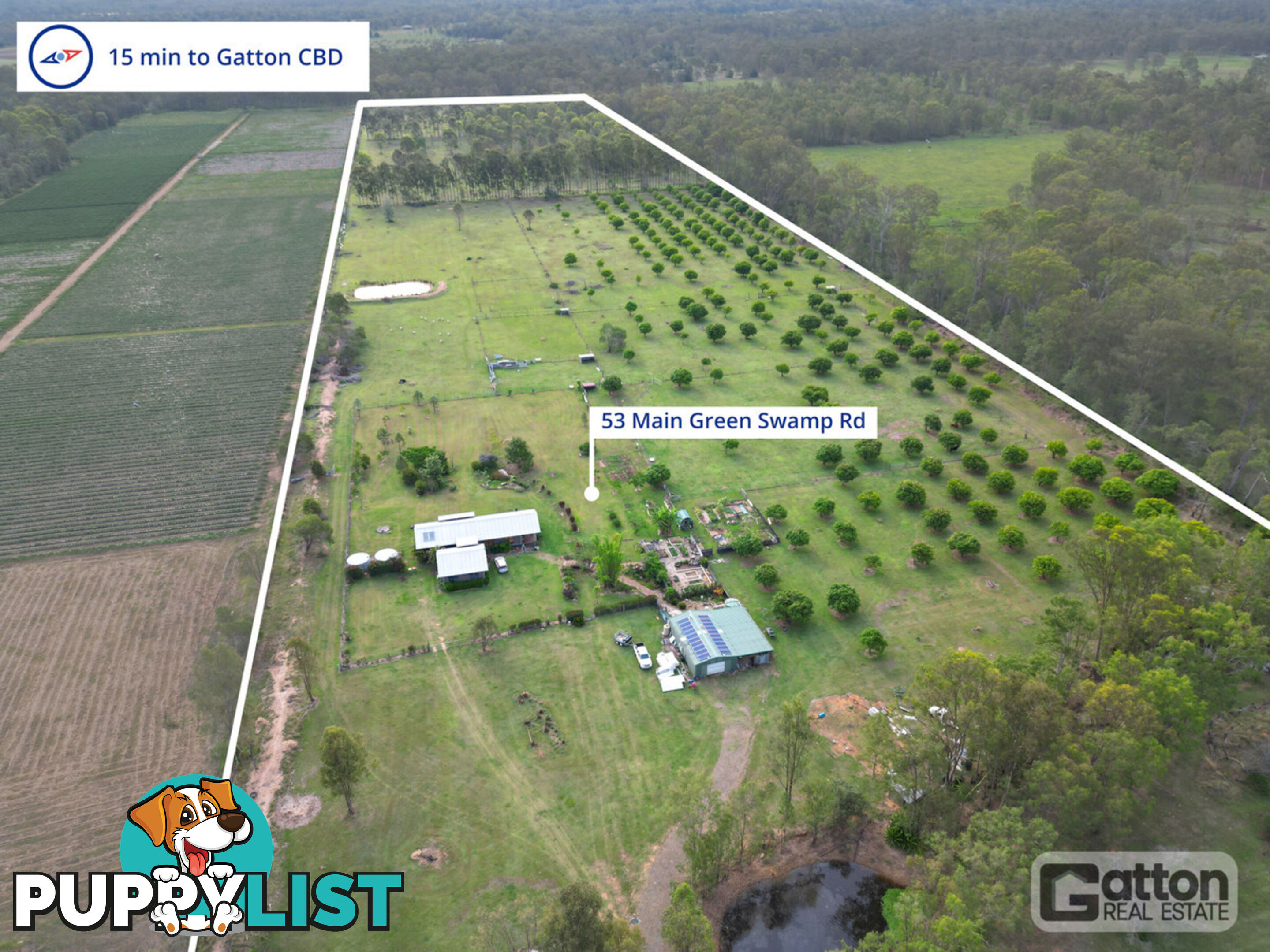 53 Main Green Swamp Road Spring Creek QLD 4343