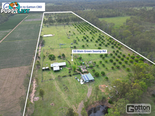 53 Main Green Swamp Road Spring Creek QLD 4343