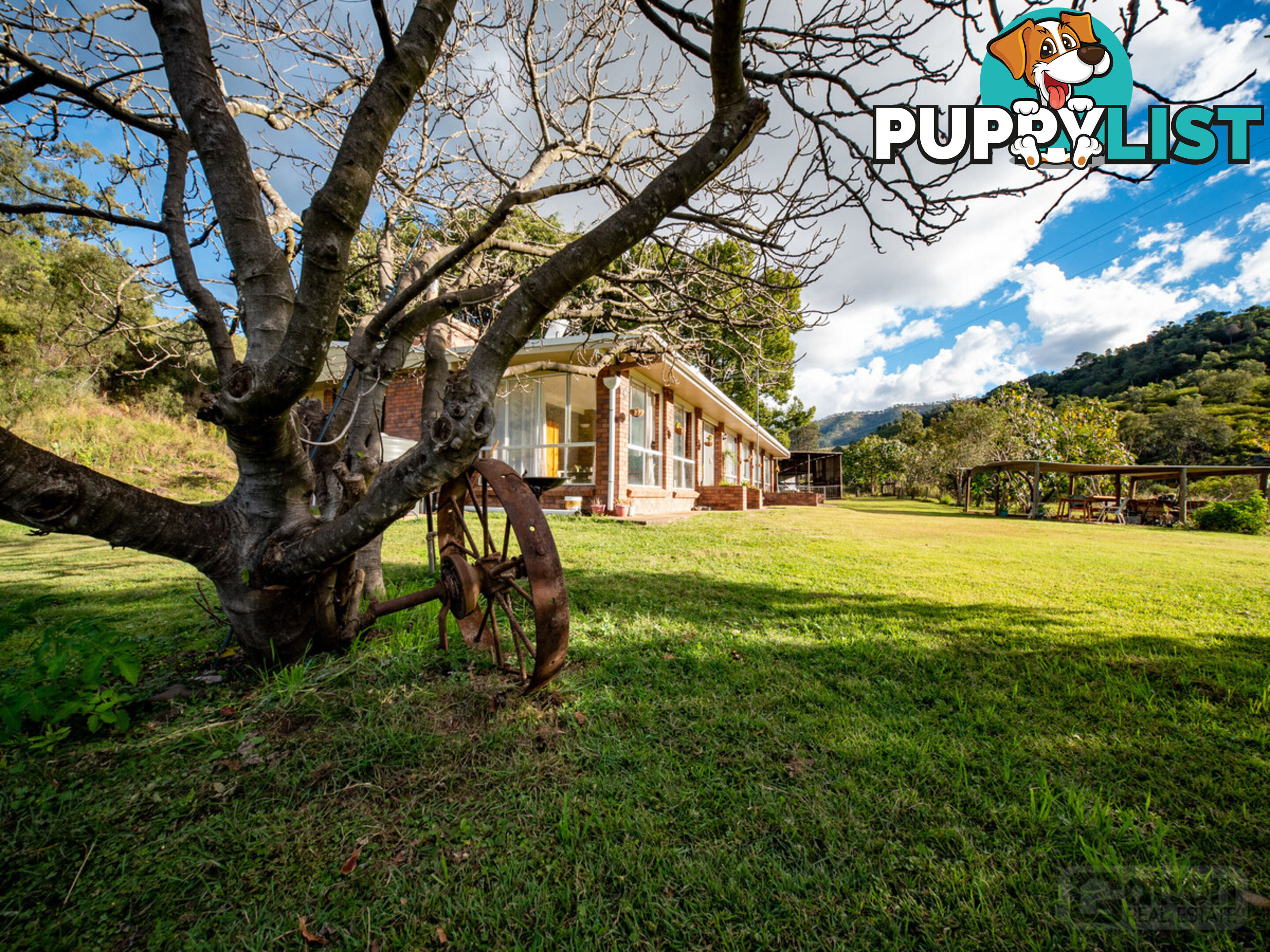 295 Black Duck Creek Road JUNCTION VIEW QLD 4343