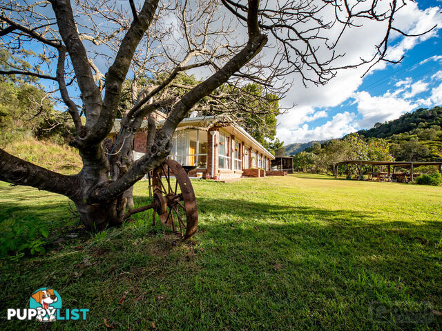 295 Black Duck Creek Road JUNCTION VIEW QLD 4343