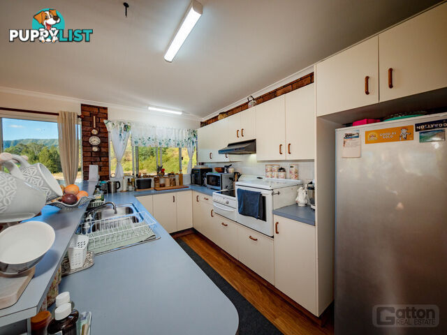 295 Black Duck Creek Road JUNCTION VIEW QLD 4343