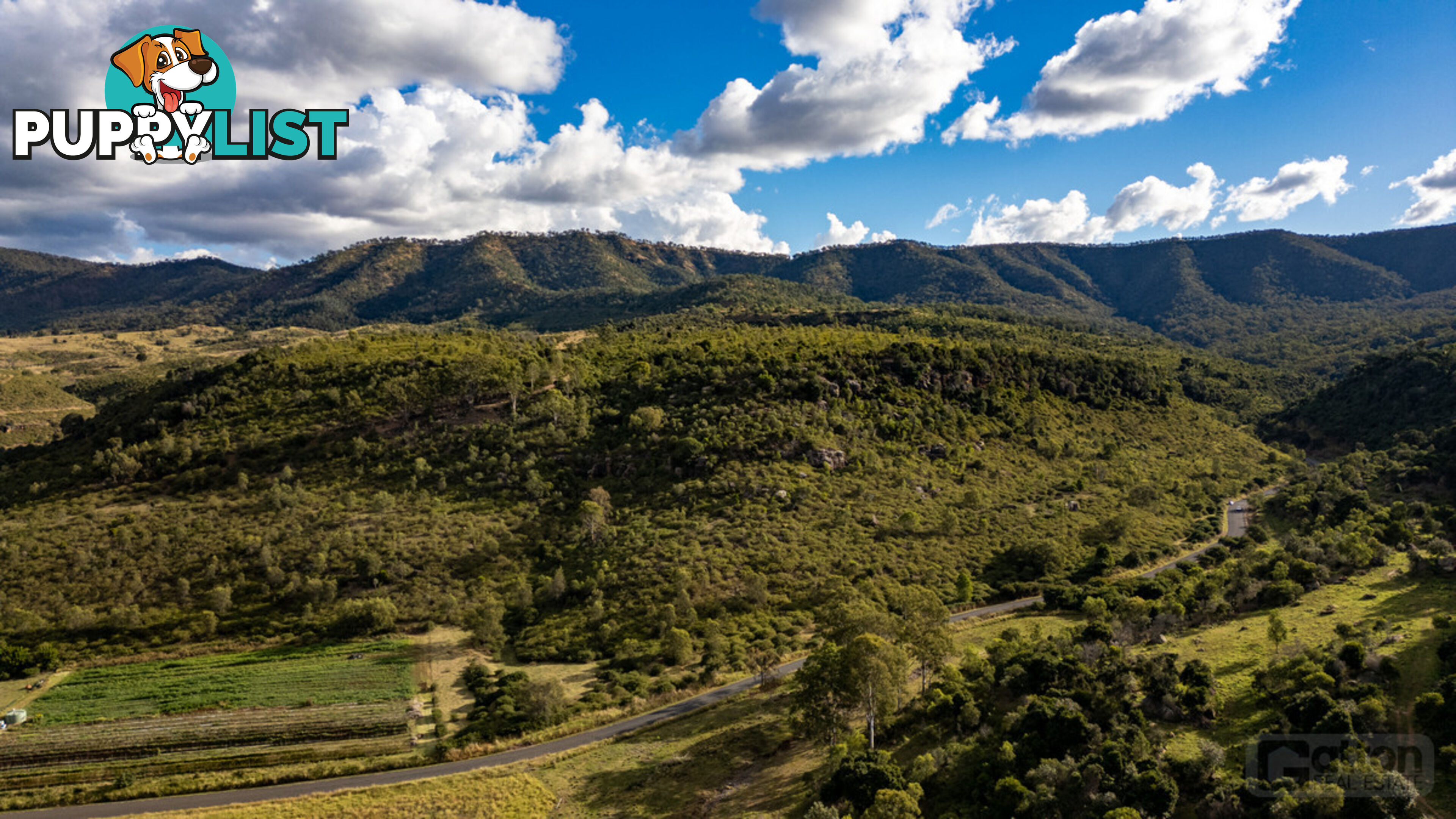 295 Black Duck Creek Road JUNCTION VIEW QLD 4343