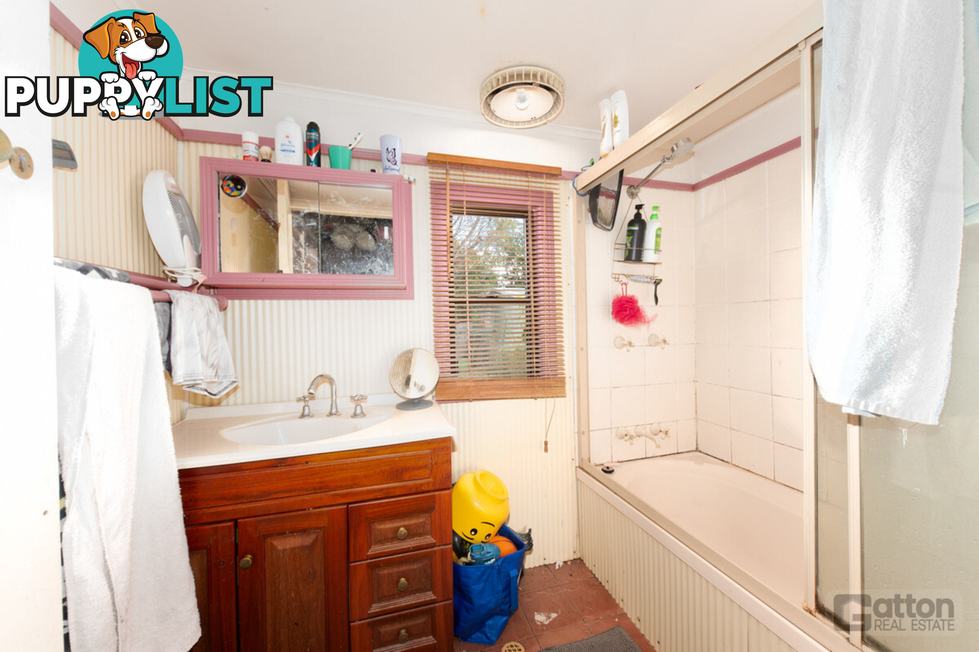 19 Gaul Street Gatton QLD 4343