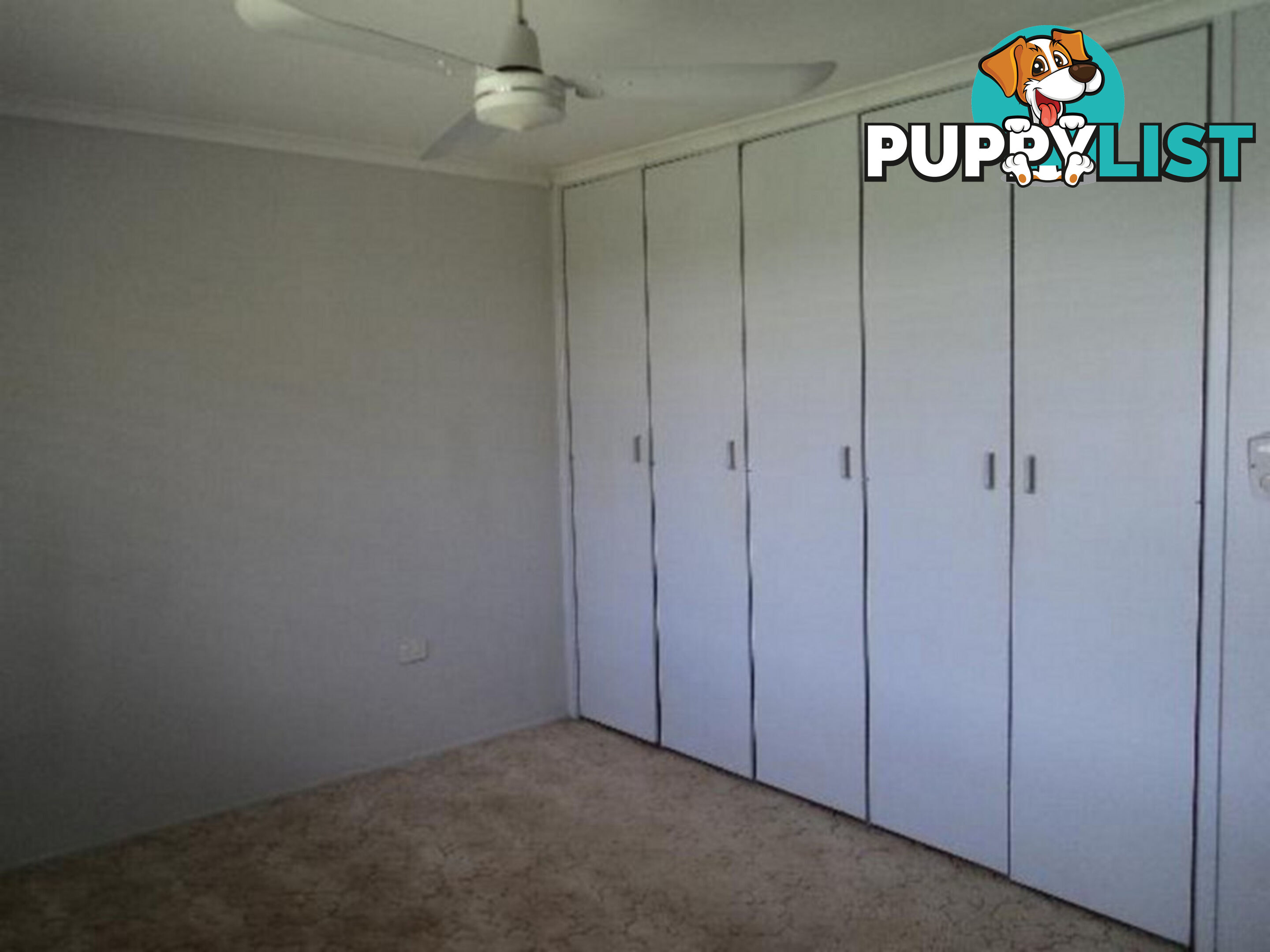 24 South Street Gatton QLD 4343