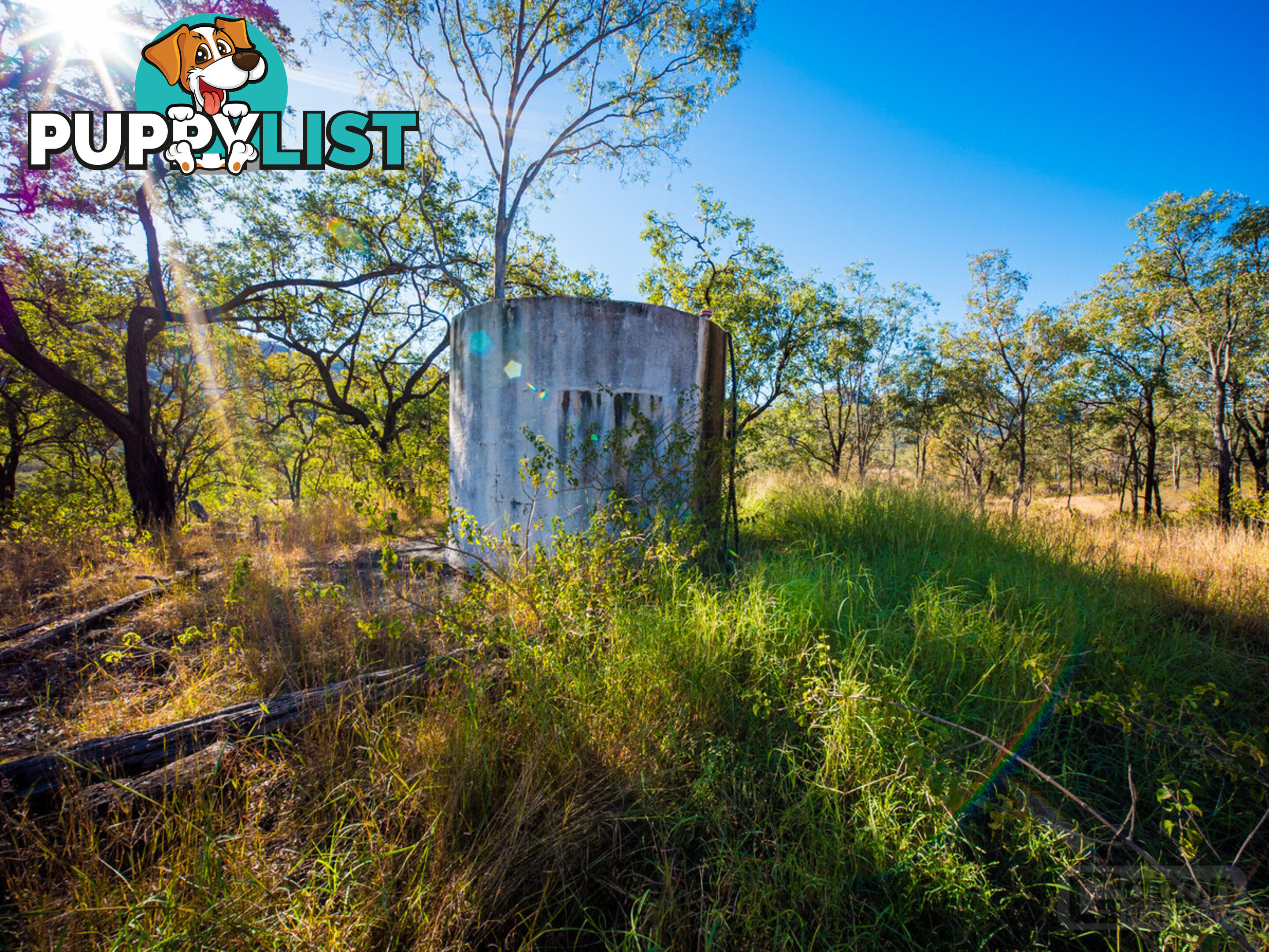 946 Black Duck Creek Road Black Duck Creek QLD 4343