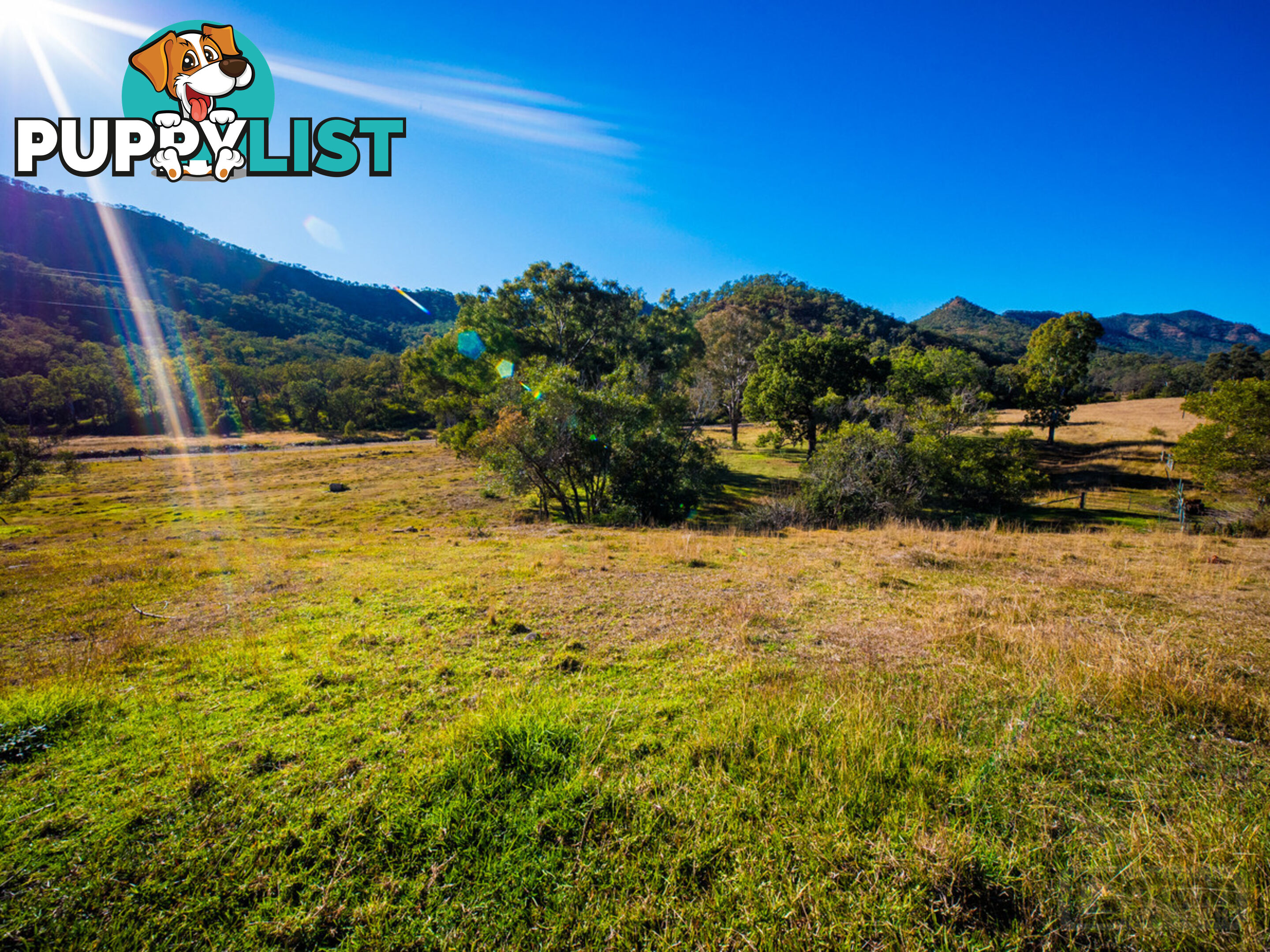 946 Black Duck Creek Road Black Duck Creek QLD 4343