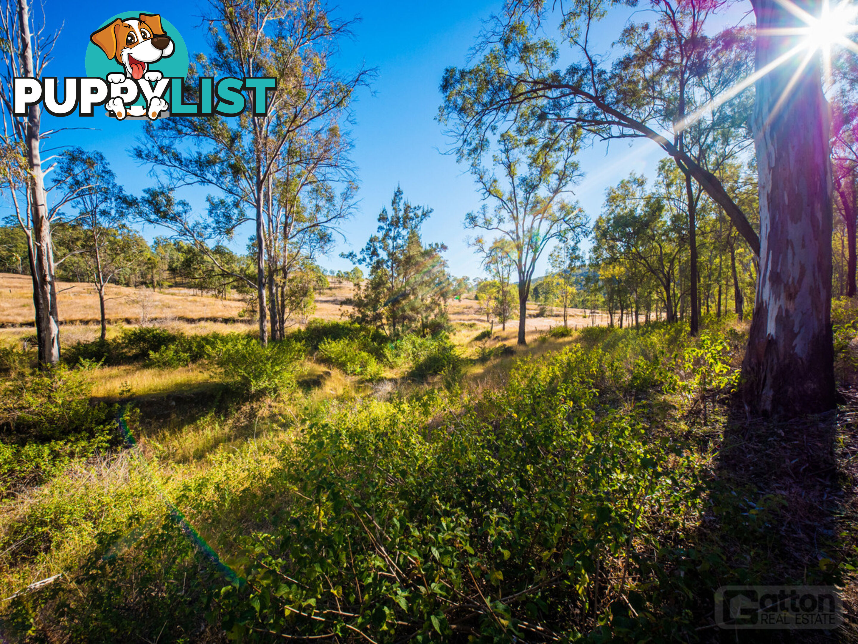 946 Black Duck Creek Road Black Duck Creek QLD 4343