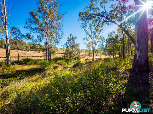 946 Black Duck Creek Road Black Duck Creek QLD 4343