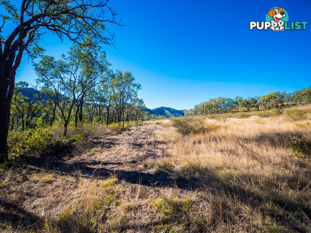 946 Black Duck Creek Road Black Duck Creek QLD 4343