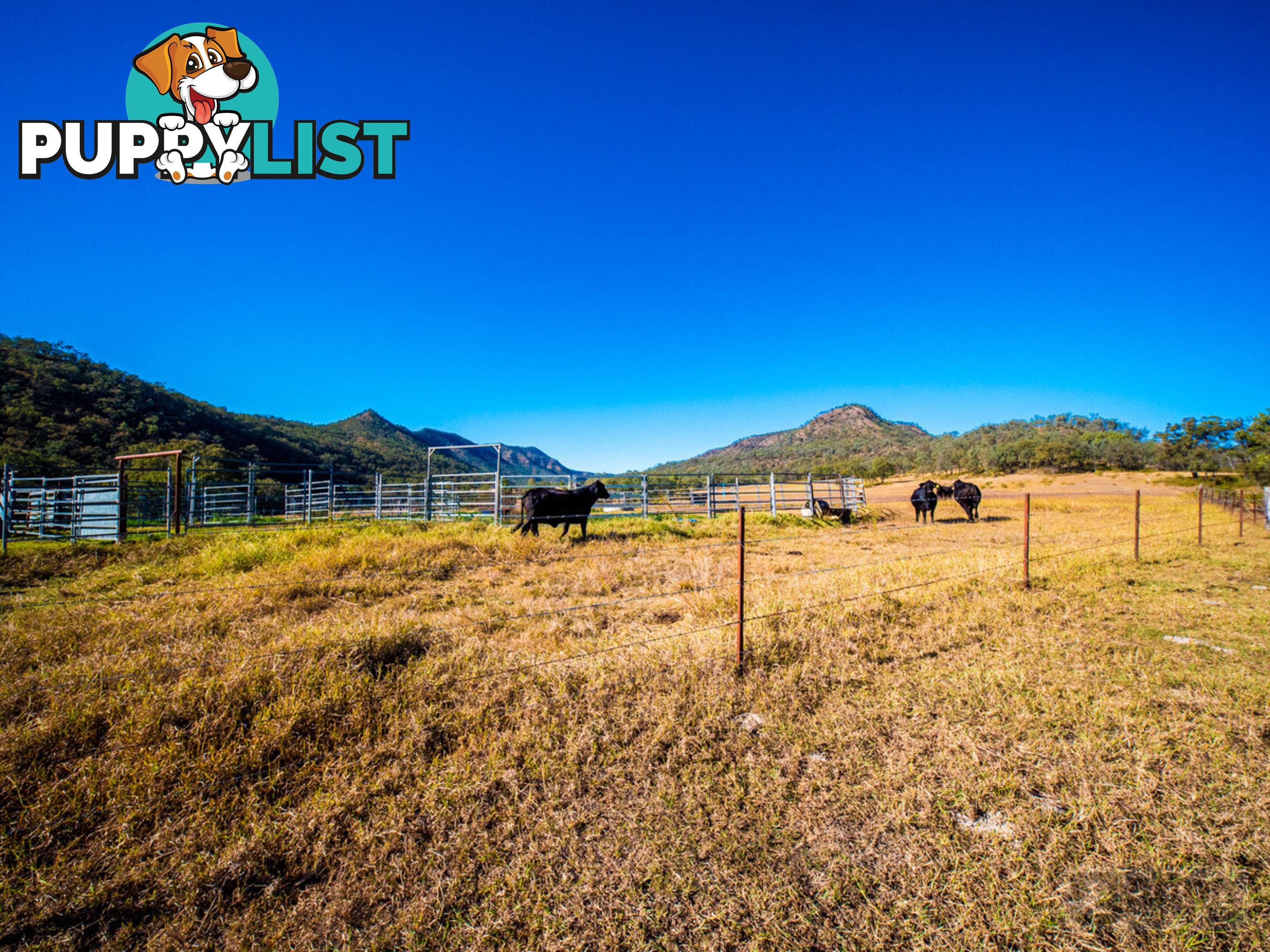 946 Black Duck Creek Road Black Duck Creek QLD 4343