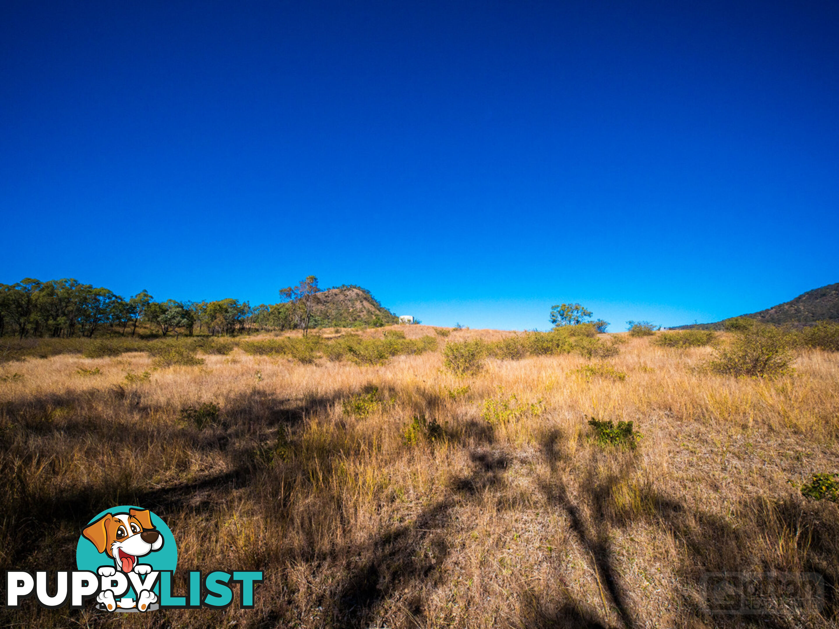 946 Black Duck Creek Road Black Duck Creek QLD 4343