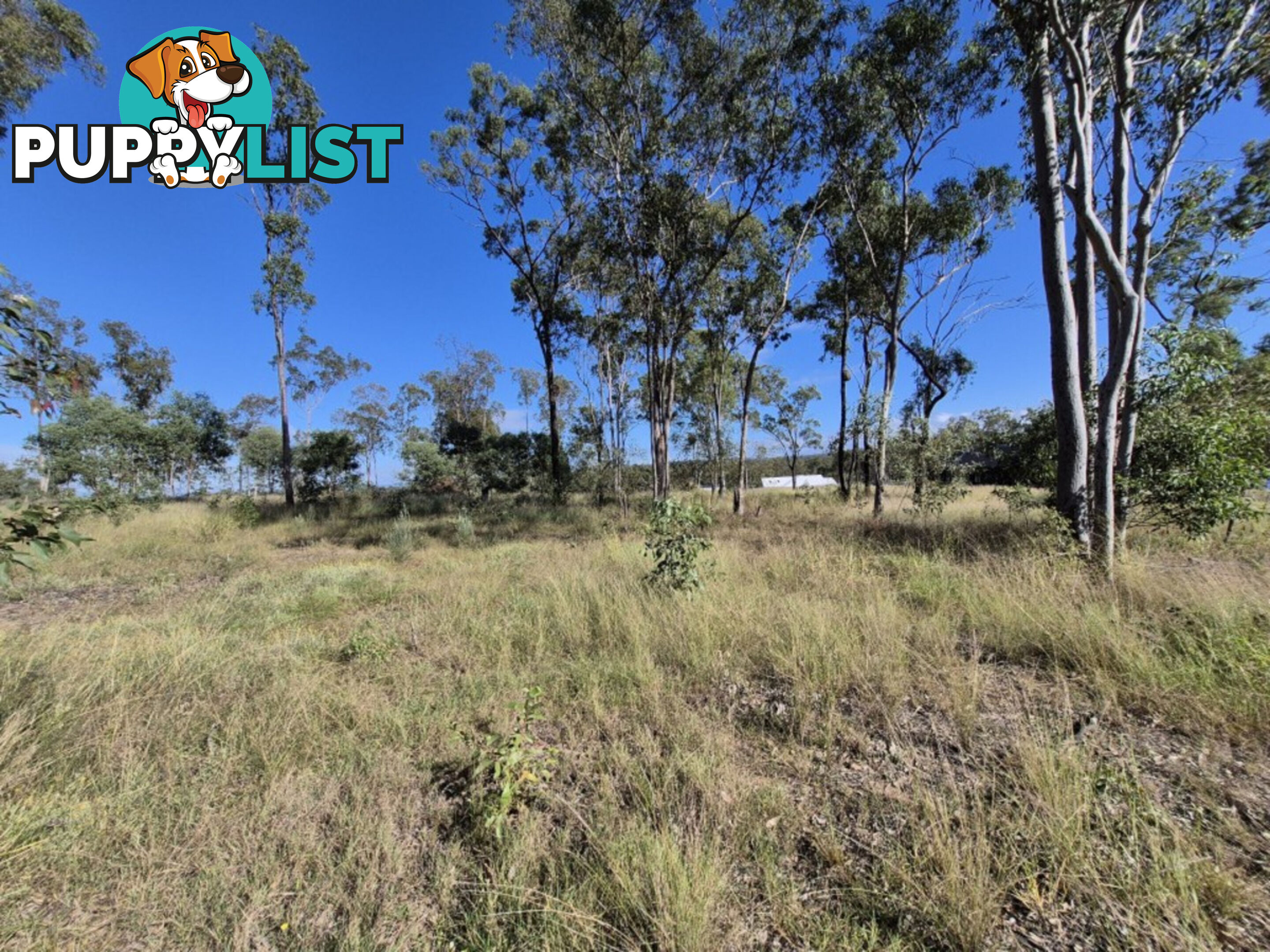 91 31 Howell Circuit Adare QLD 4343