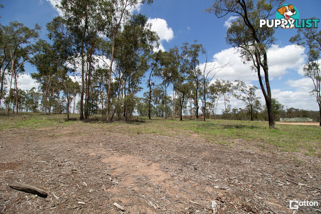 91 31 Howell Circuit Adare QLD 4343