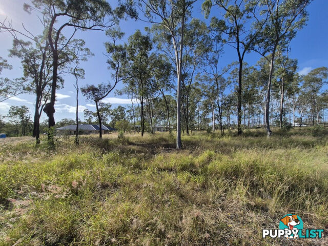 91 31 Howell Circuit Adare QLD 4343