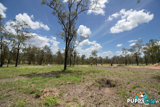 91 31 Howell Circuit Adare QLD 4343