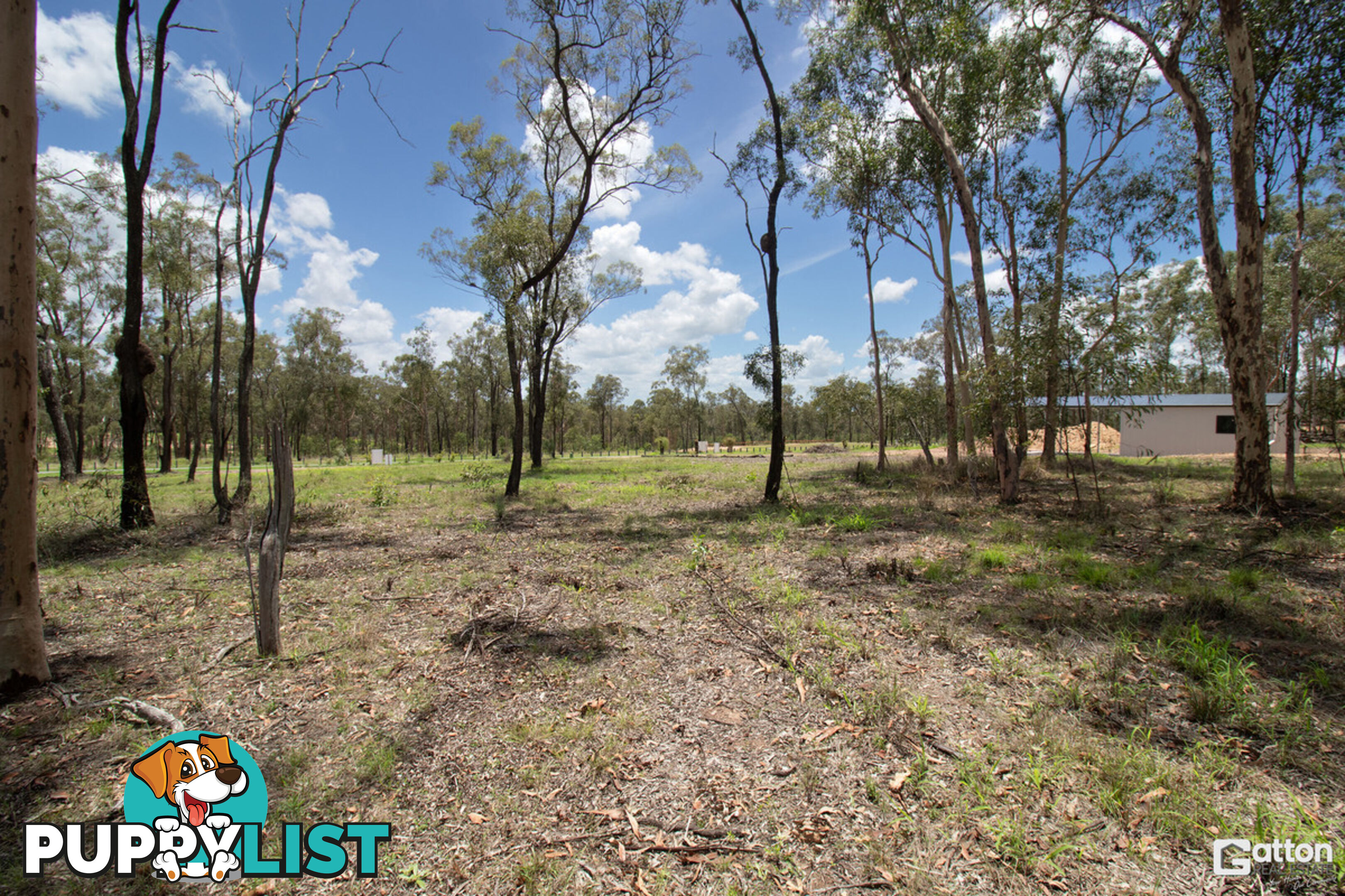 91 31 Howell Circuit Adare QLD 4343