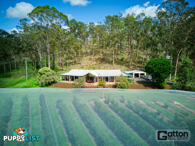 211 Sandy Creek Road Grantham QLD 4347