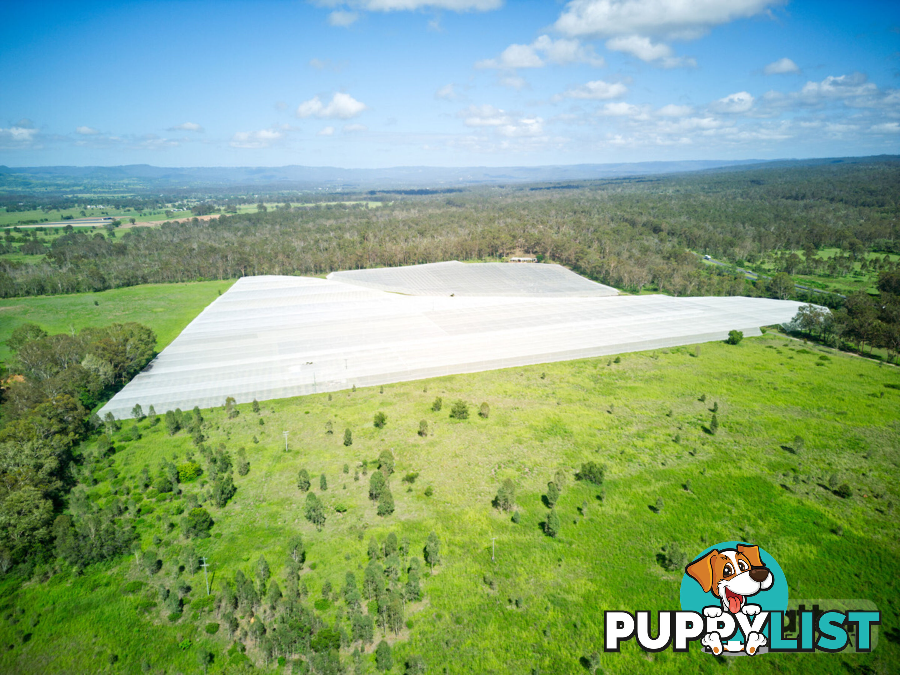 211 Sandy Creek Road Grantham QLD 4347