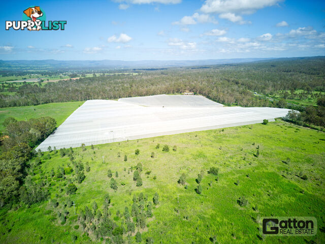 211 Sandy Creek Road Grantham QLD 4347