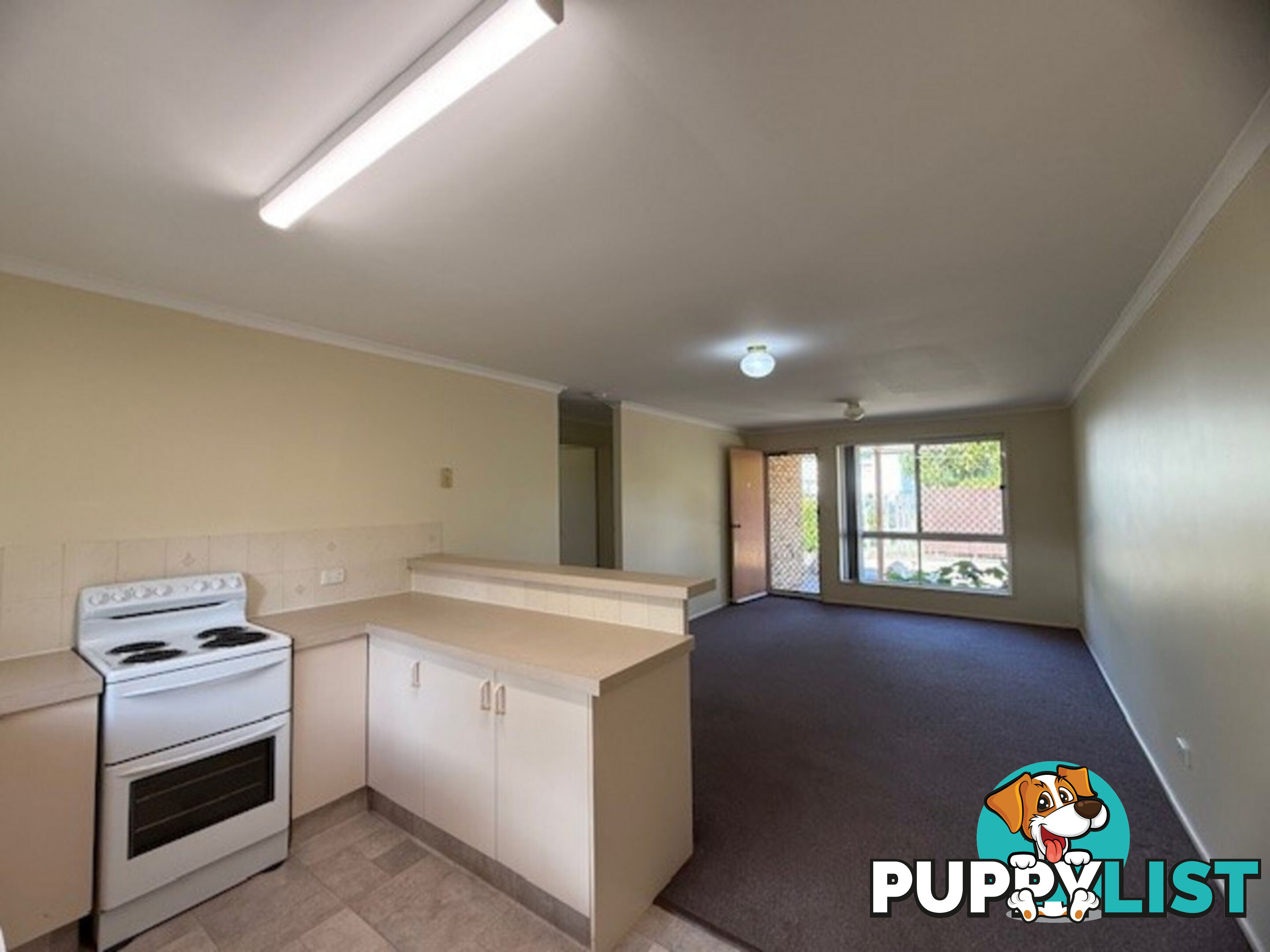 3 4 Skinner Street Gatton QLD 4343