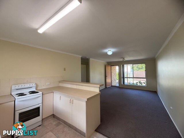 3 4 Skinner Street Gatton QLD 4343